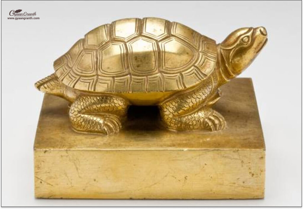घर में कछुआ मर जाए तो क्या होता है