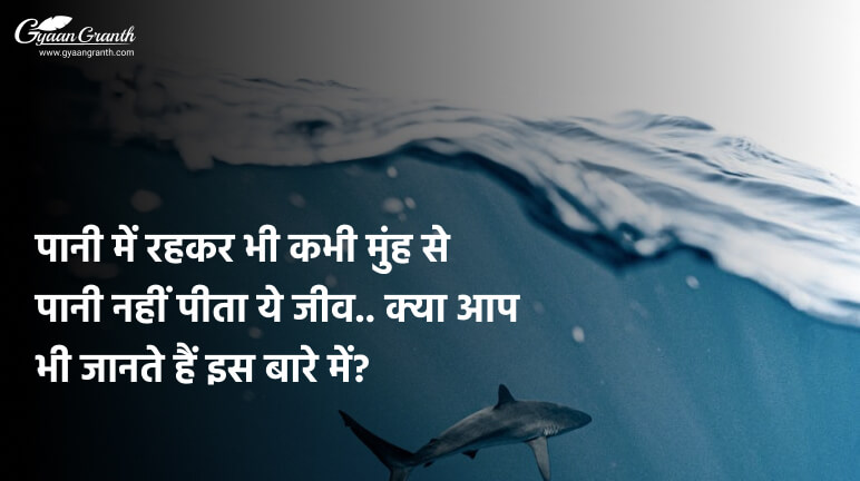 ऐसा कौन सा जानवर है जो मुंह से पानी नहीं पीता