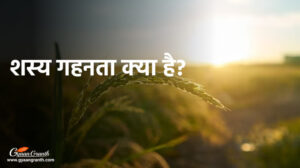 शस्य गहनता क्या है