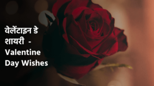 वेलेंटाइन डे शायरी 2024 - Valentine Day Wishes